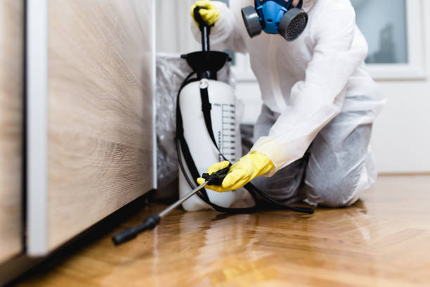 Best Ant Control Services  in Roseburg, OR