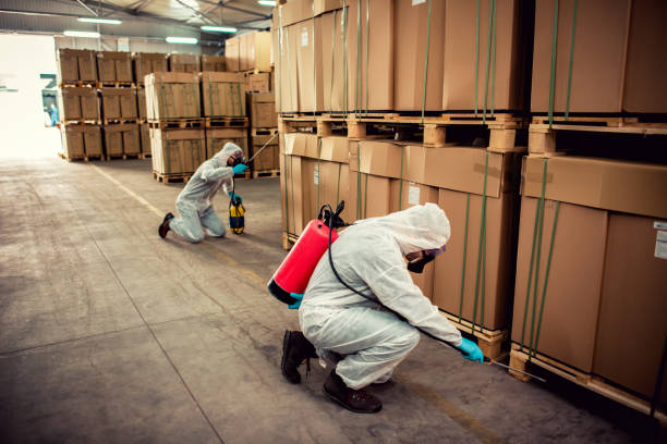 Best Flea Control Services  in Roseburg, OR