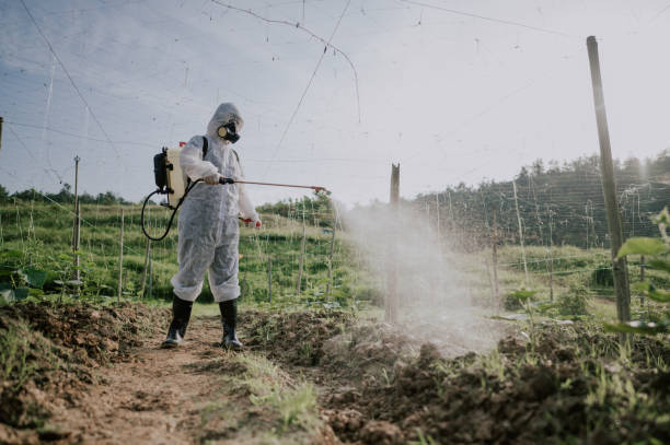 Professional Pest Control in Roseburg, OR
