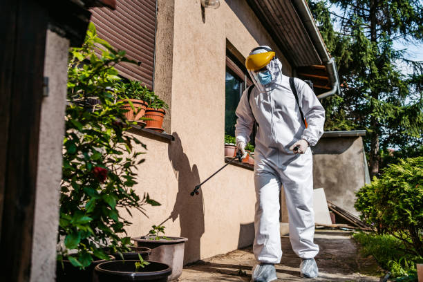 Best Mosquito Control Services  in Roseburg, OR