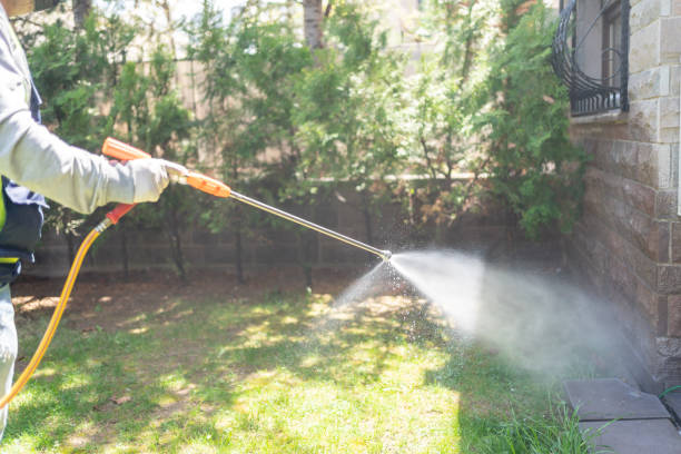 Best Affordable Pest Control Services  in Roseburg, OR