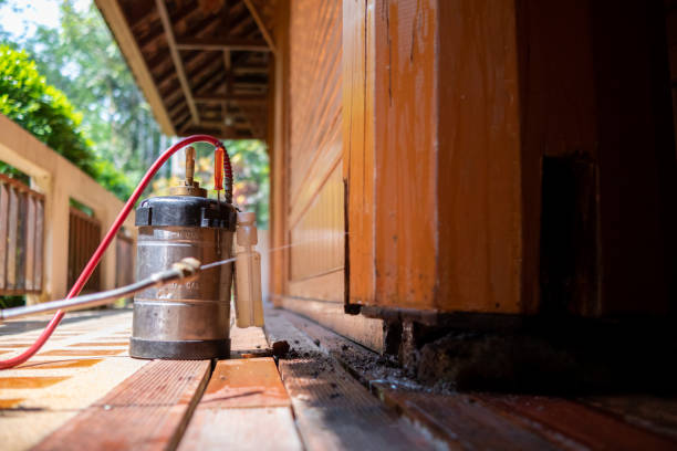 Best Pest Removal Services  in Roseburg, OR